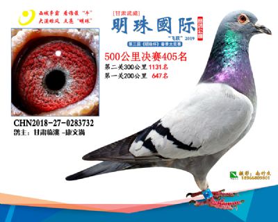 2019武威明珠405