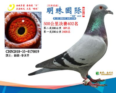 2019武威明珠402