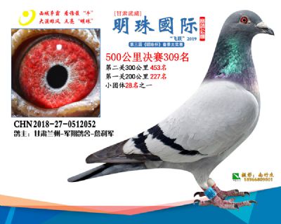 2019武威明珠309