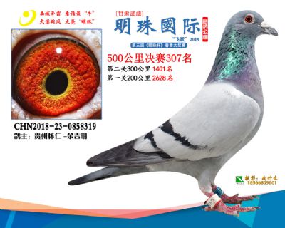 2019武威明珠307