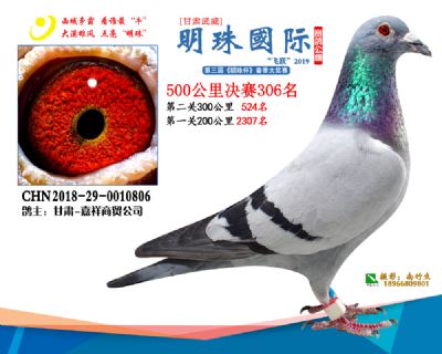 2019武威明珠306