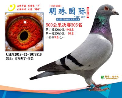 2019武威明珠305