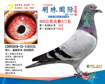 2019武威明珠317