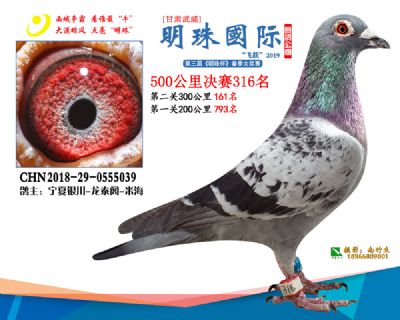 2019武威明珠316