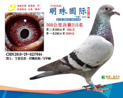 2019武威明珠315
