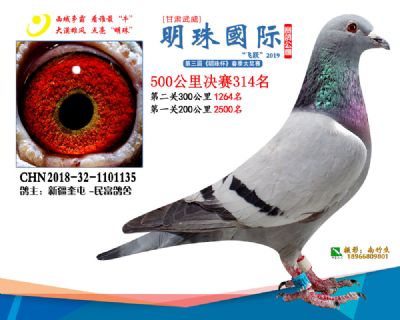 2019武威明珠314