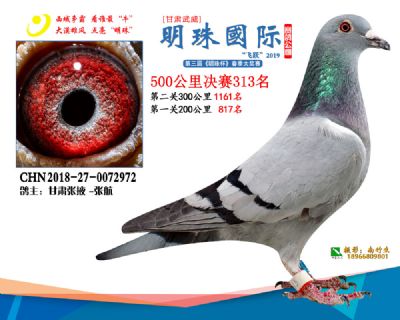 2019武威明珠313
