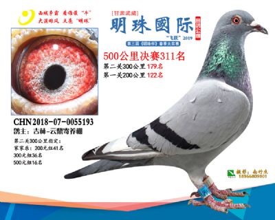 2019武威明珠311
