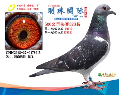 2019武威明珠328