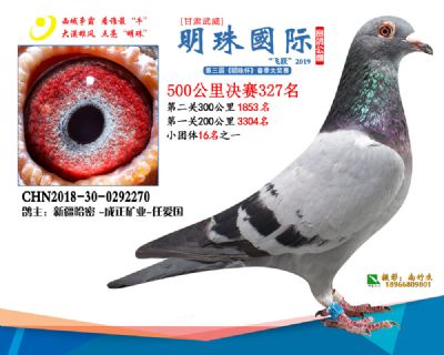 2019武威明珠327