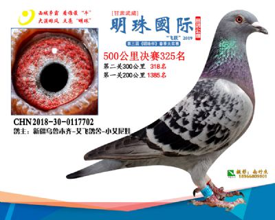 2019武威明珠325