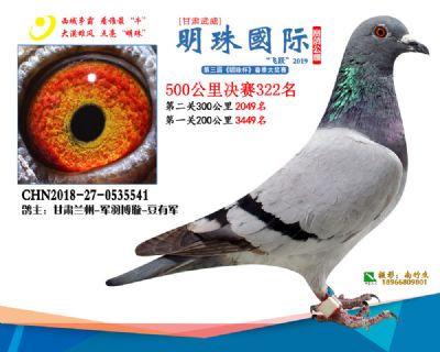 2019武威明珠322