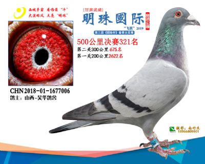 2019武威明珠321