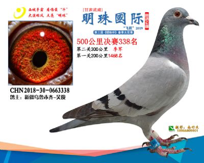 2019武威明珠338