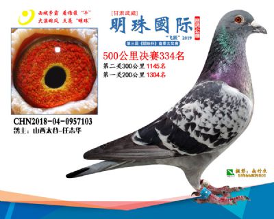 2019武威明珠334