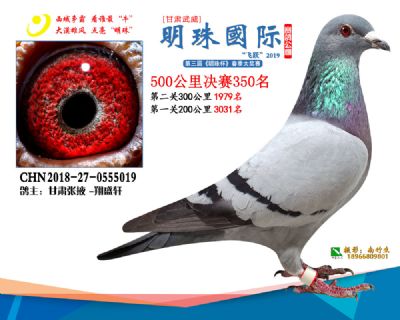 2019武威明珠350