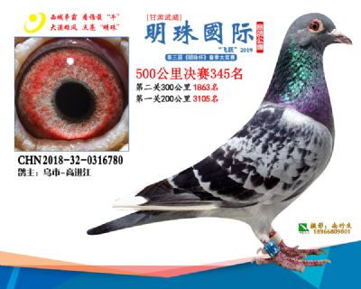 2019武威明珠345
