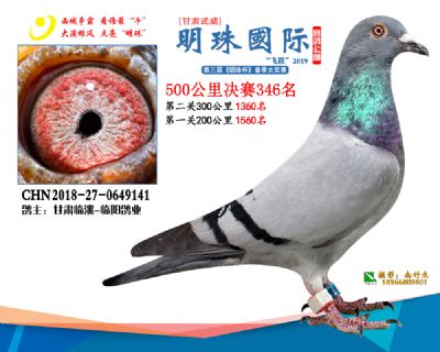 2019武威明珠346