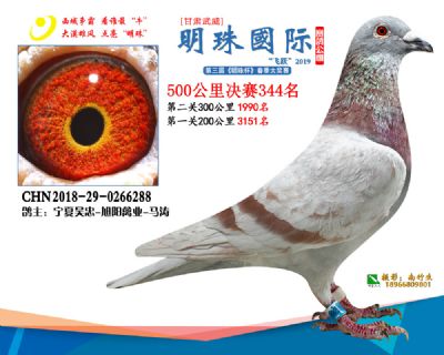 2019武威明珠344