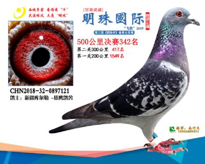 2019武威明珠342