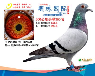 2019武威明珠360