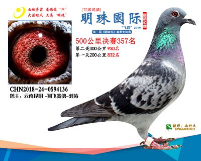 2019武威明珠357