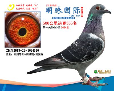 2019武威明珠355