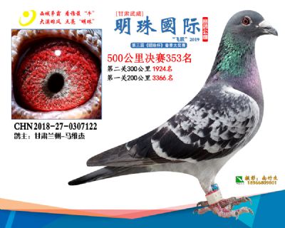 2019武威明珠353