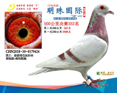 2019武威明珠352