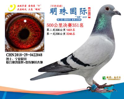 2019武威明珠351