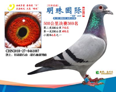 2019武威明珠369