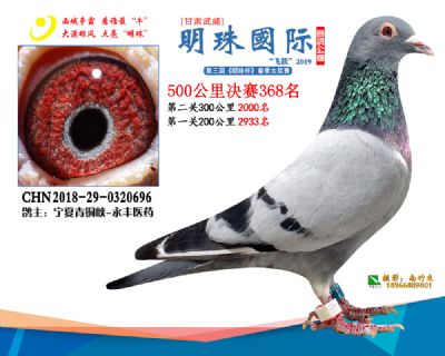 2019武威明珠368