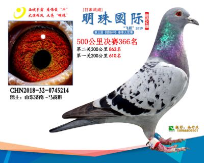 2019武威明珠366