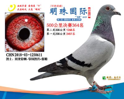 2019武威明珠364