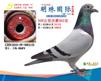 2019武威明珠362