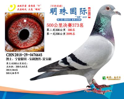 2019武威明珠373
