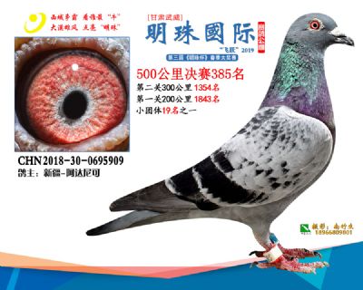 2019武威明珠385
