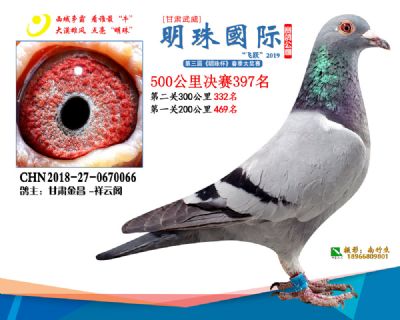 2019武威明珠397