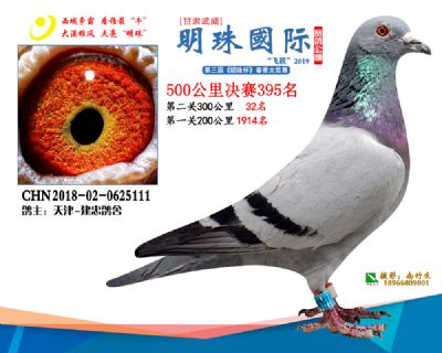 2019武威明珠395