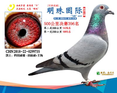 2019武威明珠396