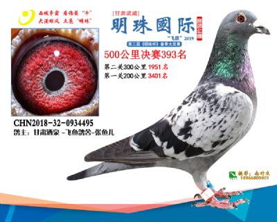 2019武威明珠393