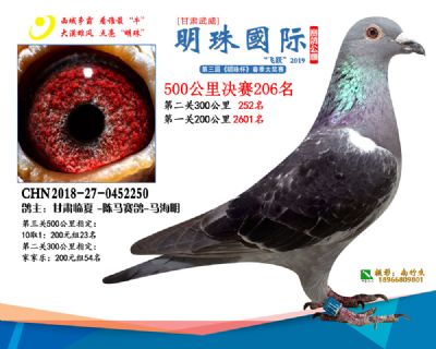 2019武威明珠206