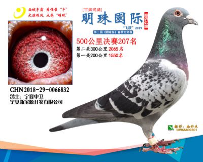 2019武威明珠207