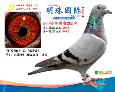 2019武威明珠205