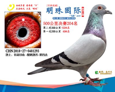 2019武威明珠204