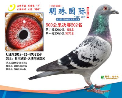 2019武威明珠202