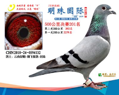 2019武威明珠201
