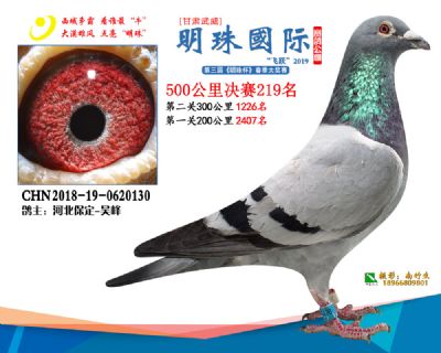 2019武威明珠219