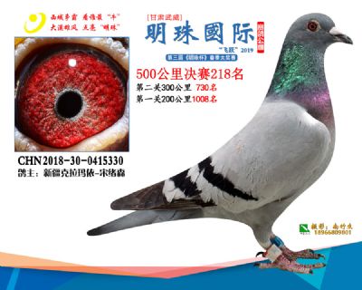 2019武威明珠218