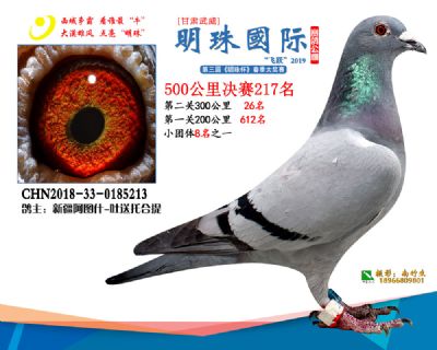 2019武威明珠217